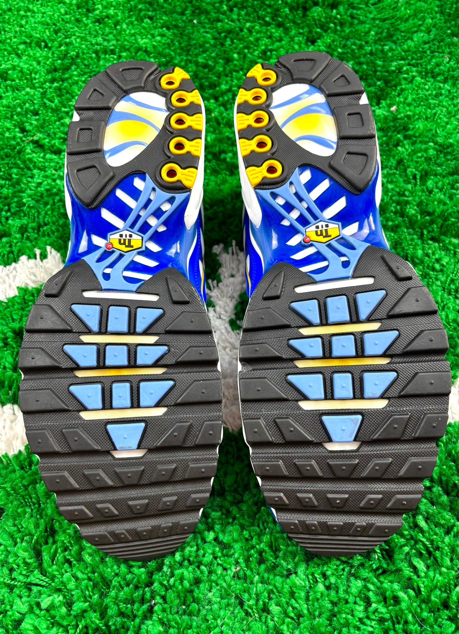 Nike Air Max Plus Lyon Blue