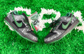 Nike SB Dunk There