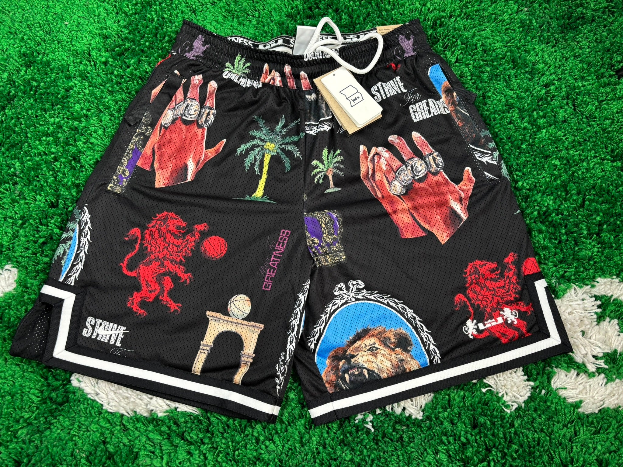 Nike LeBron DRI-FIT Basketballshorts
