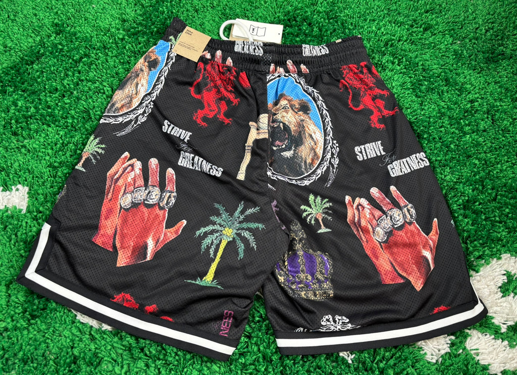 Nike LeBron DRI-FIT Basketballshorts